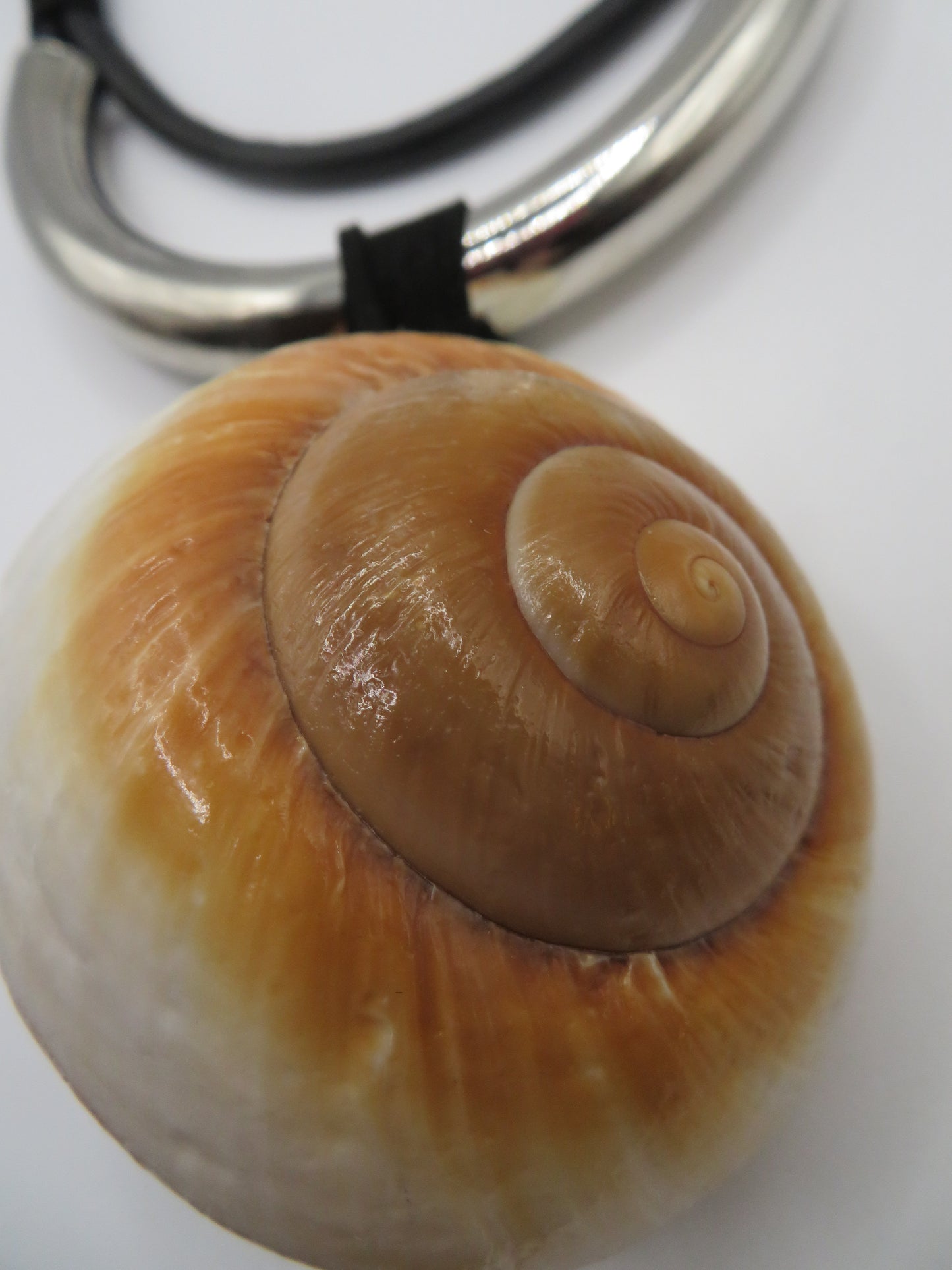 Vintage Giant Shell Silver Statement Necklace