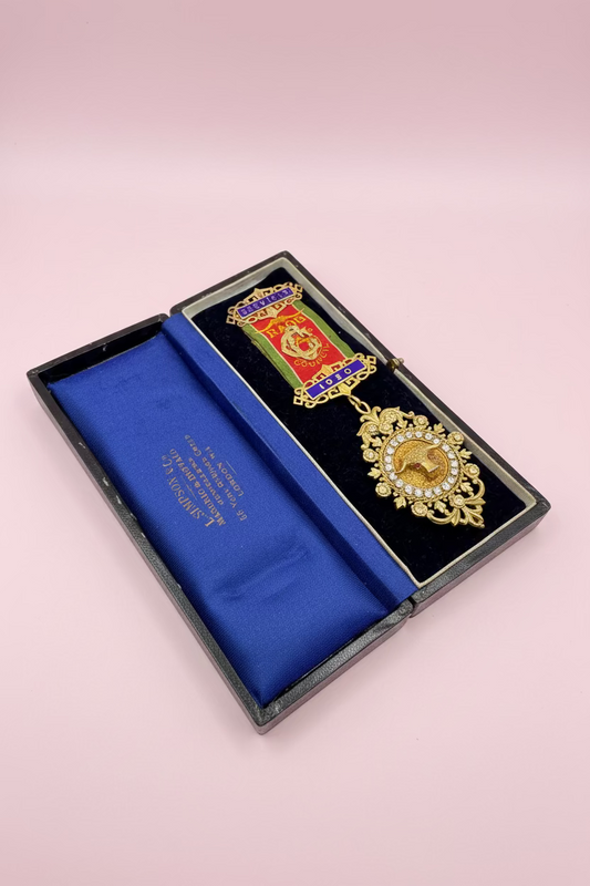 Iris Apfel's Vintage 1930 Order of Buffaloes Medal Brooch w/ Original Case