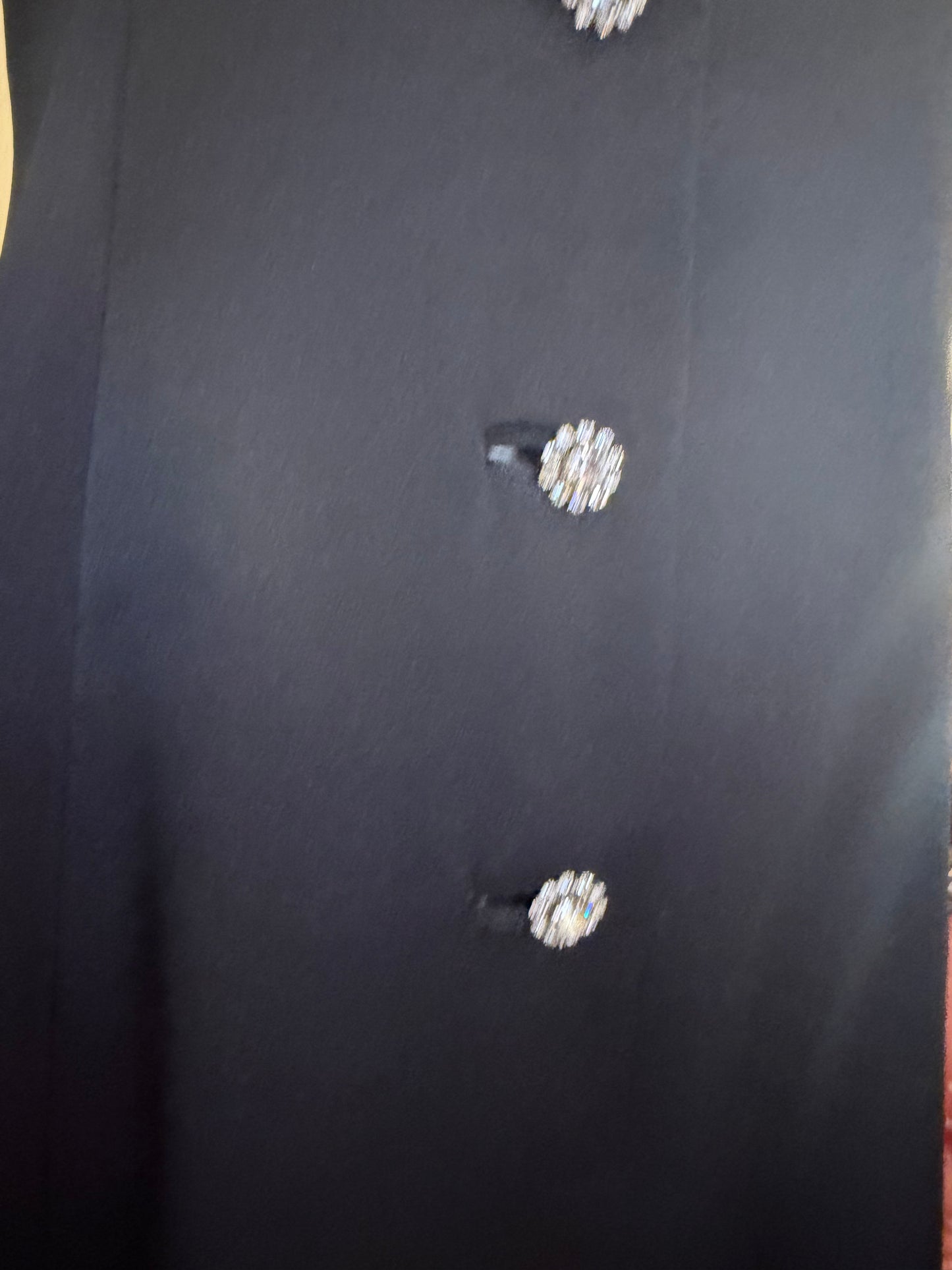 Iris Apfel's Vintage Nina Ricci Haute Couture Black Gown with Crystal Buttons