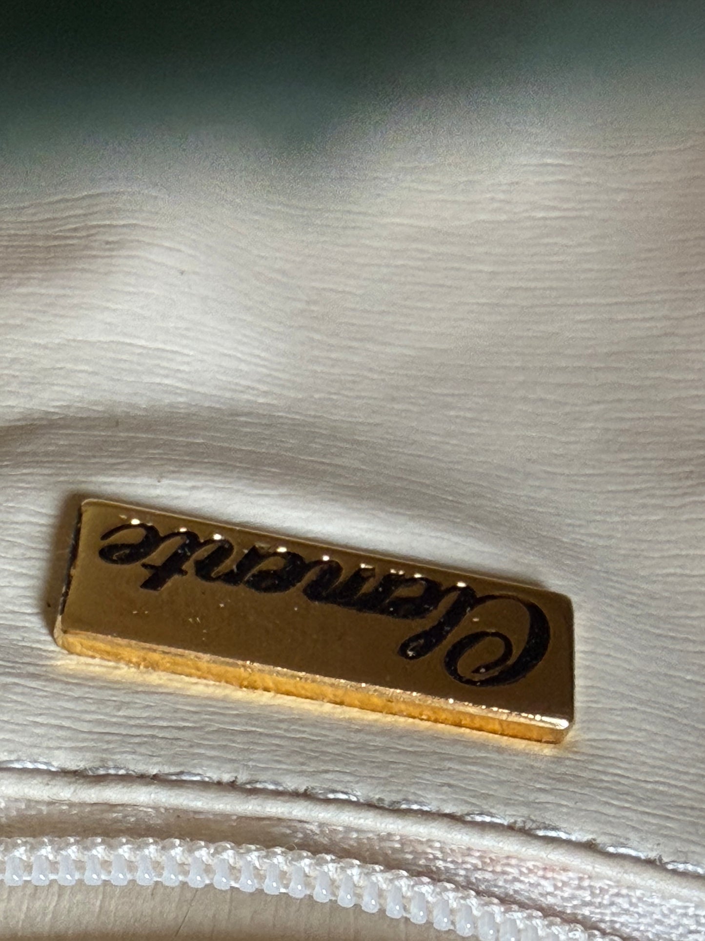 Vintage Clemente Seafoam Snakeskin 1980s Convertible Clutch