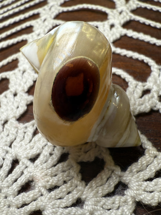 Vintage Huge Seashell Ring