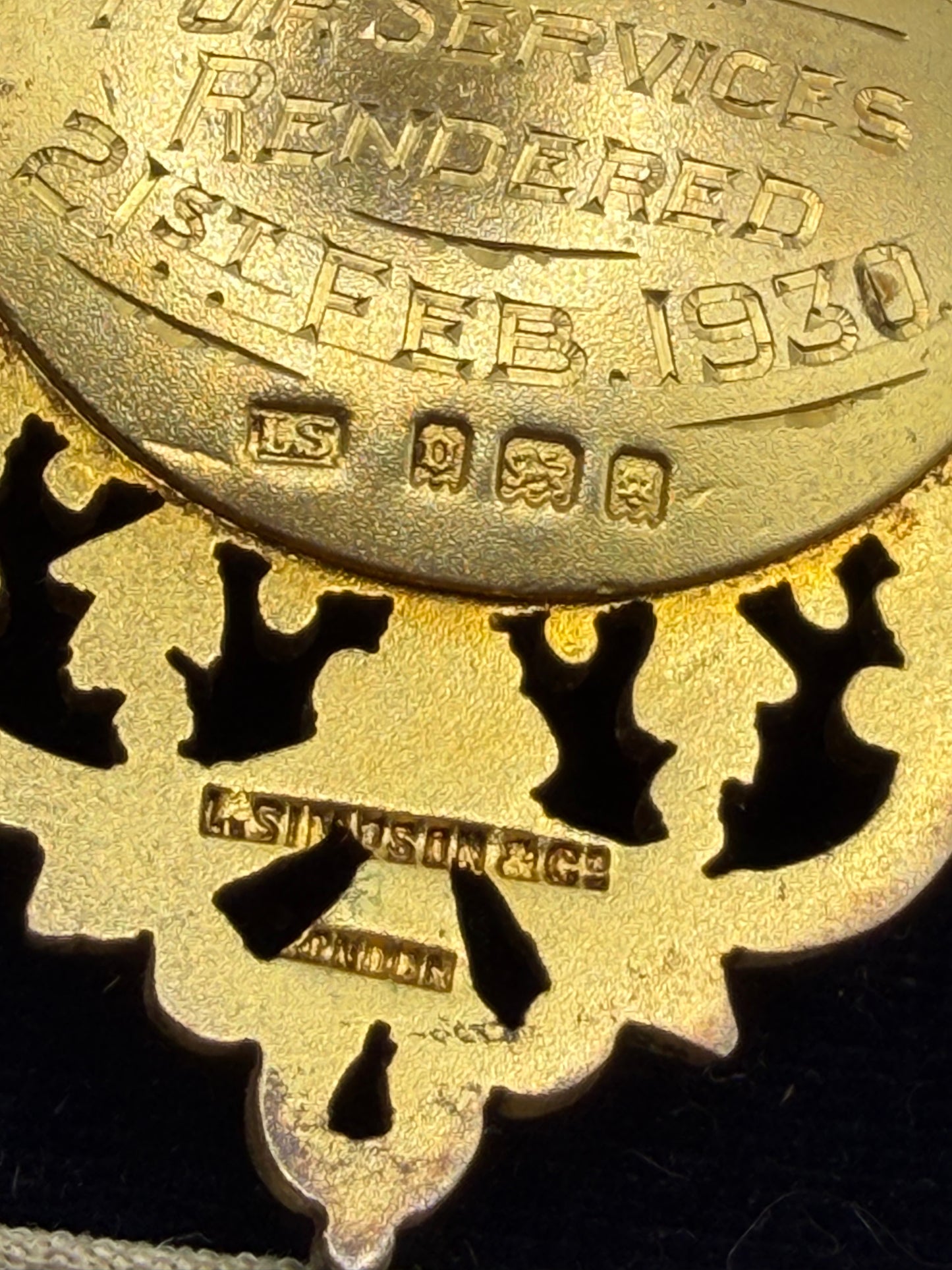 Iris Apfel's Vintage 1930 Order of Buffaloes Medal Brooch w/ Original Case