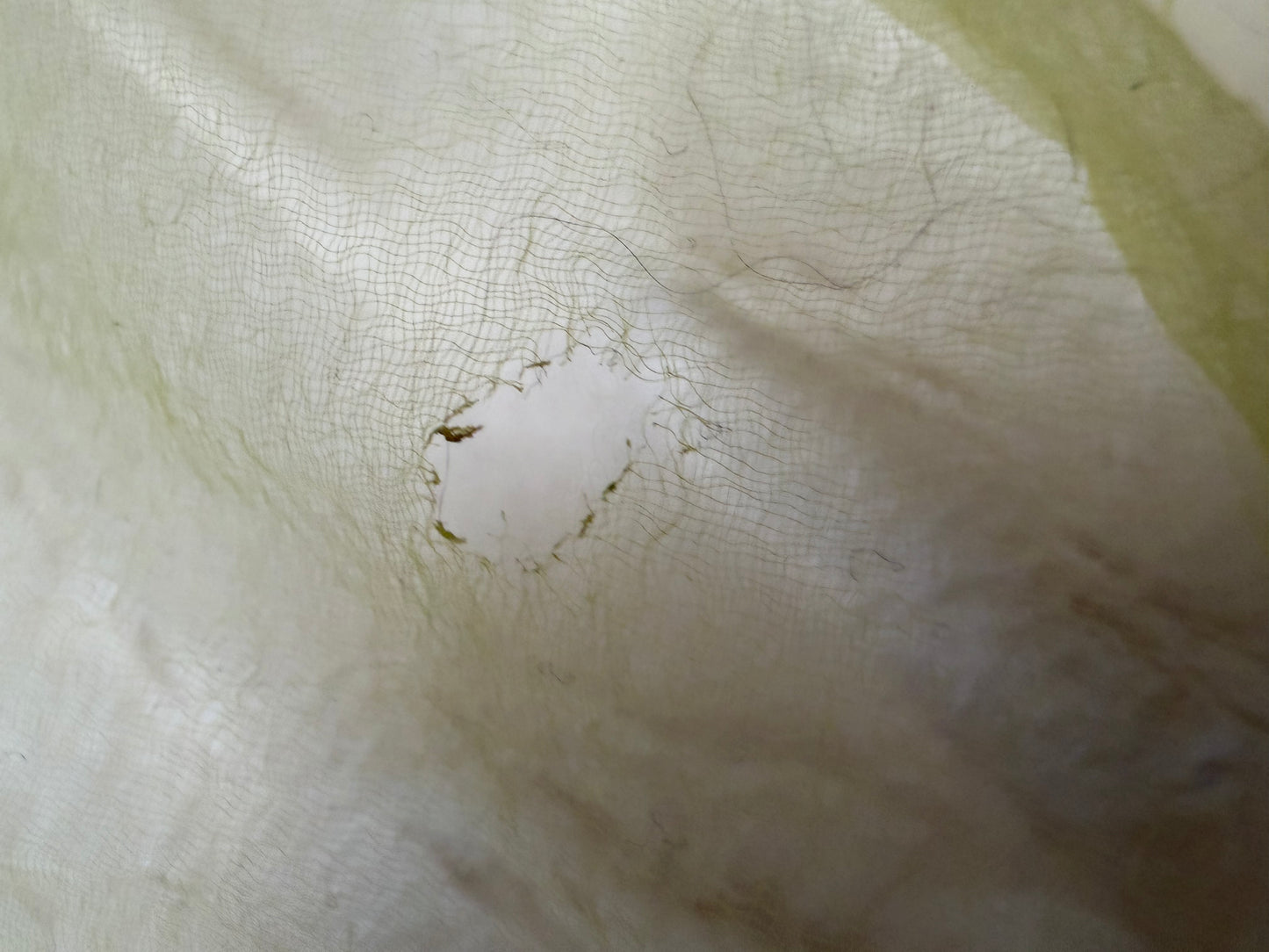 Cyndi Lauper's Vintage Sheer Lime Green Painted Scarf