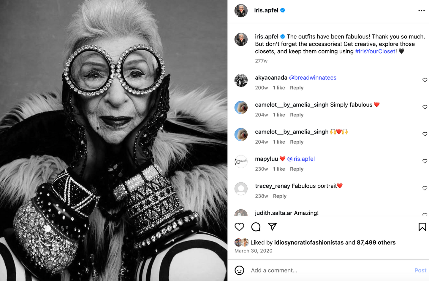 Iris Apfel's Highly Documented Vintage Massive Mirrored Ebony Bangle