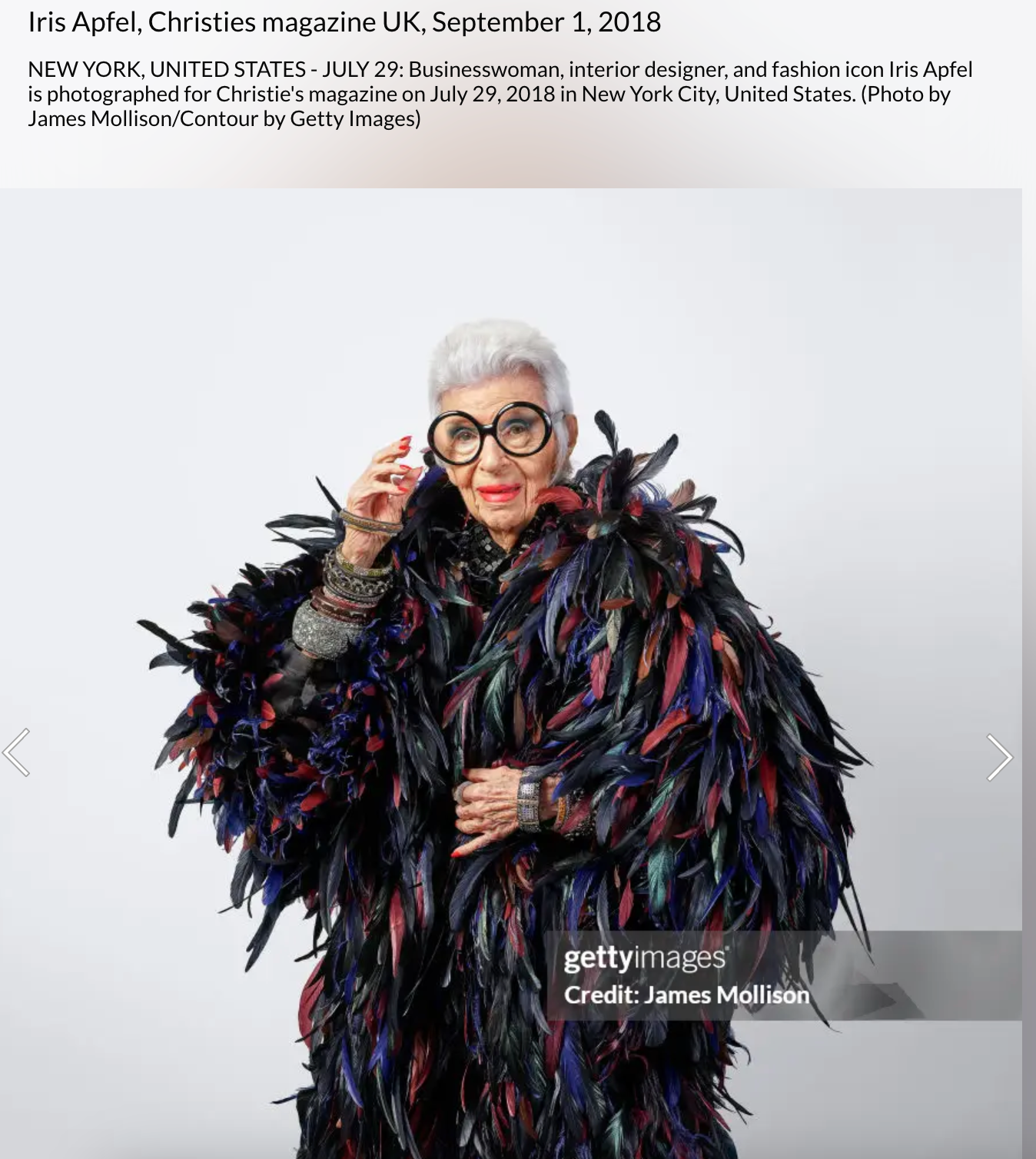 Iris Apfel's Highly Documented Vintage Massive Mirrored Ebony Bangle