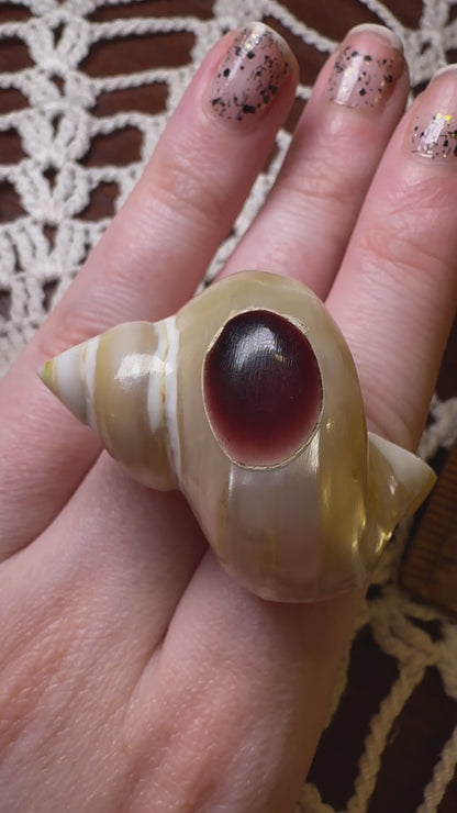 Vintage Huge Seashell Ring